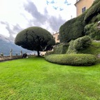 1D9C5D33-12BC-4EC2-B029-58F9DEB0D12B.jpeg