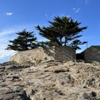 IMG_1157.jpeg