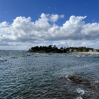 IMG_1716.jpeg