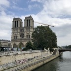 IMG_7498.jpeg