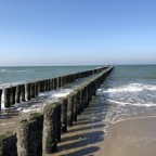 IMG_5424.jpeg