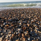 IMG_5450.jpeg