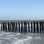 IMG_5508.jpeg