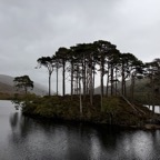 IMG_2660.jpeg